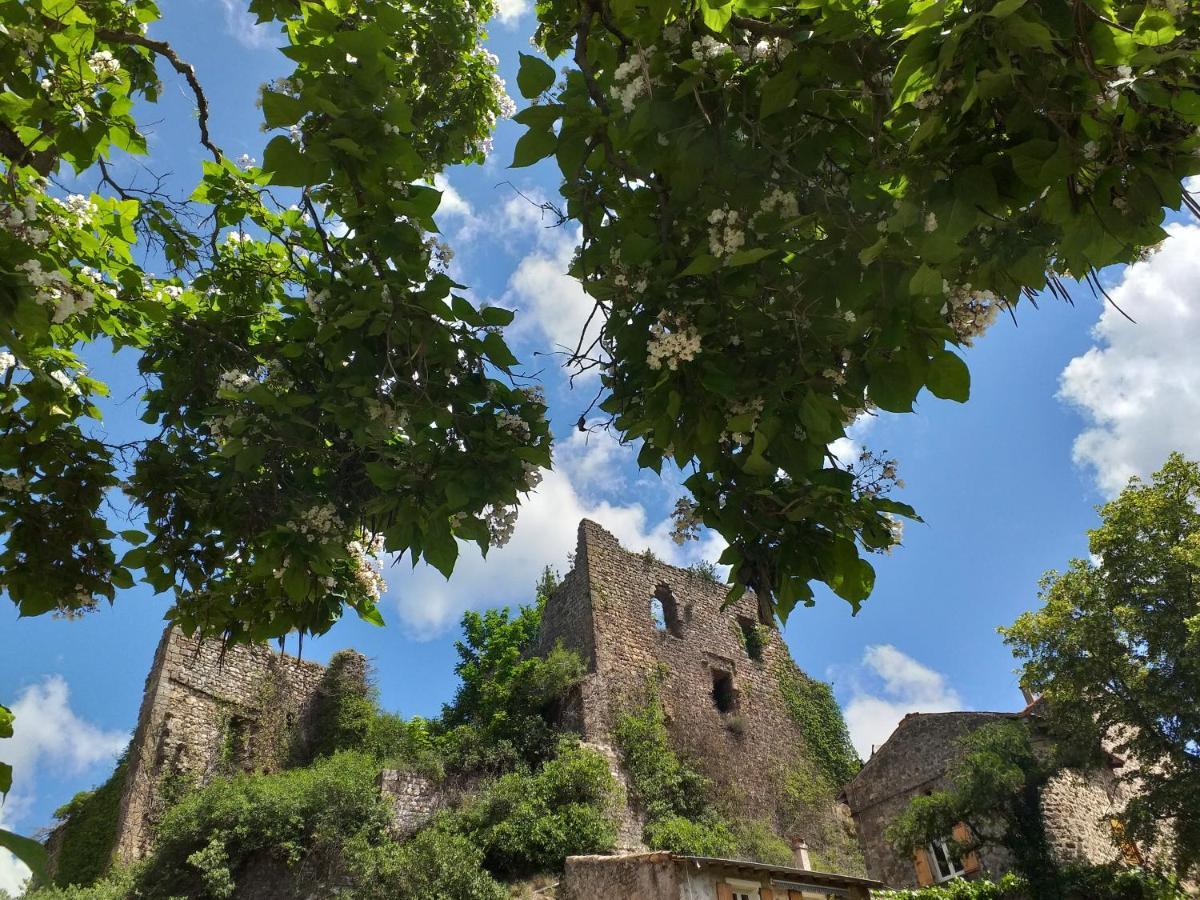 Les Pentes Du Chateau De Retourtour Ламастр Экстерьер фото